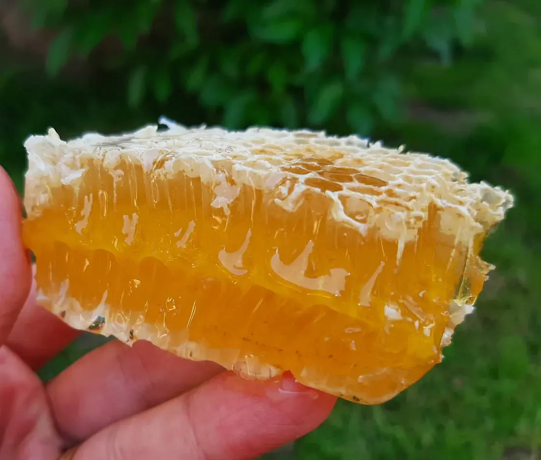 https://www.themanherbs.com/storage/products/honey/d3a6a234bb20675f3c60c9d7ce7f013f.mp4