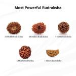 ॐ The Man Herbs – Nepal Origin 5 Mukhi (Panchmukhi) Rudraksha – 17mm to 22mm ॐ